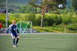 VVIL-Midsund2008009_edited